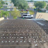 PAULA ROOFING LLC ico