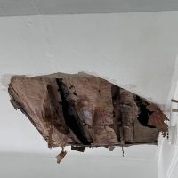 Rapid Roofing Inc ico