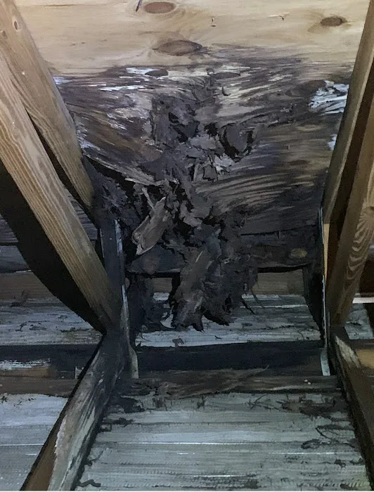 Best Top Roofing Picture 3