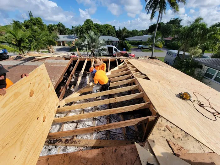 Best Solution Roof Picture 4