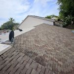 Best Solution Roof