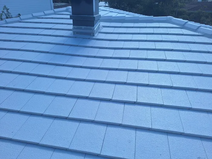Salvas Roofing of SFL LLC Picture 3