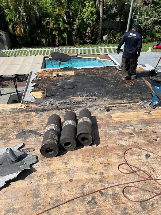 Borja's Roofing Inc Picture 10