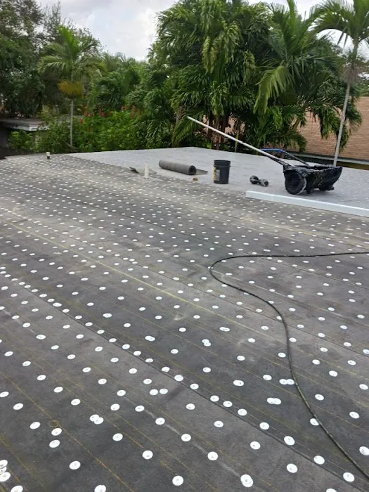 Borja's Roofing Inc Picture 3