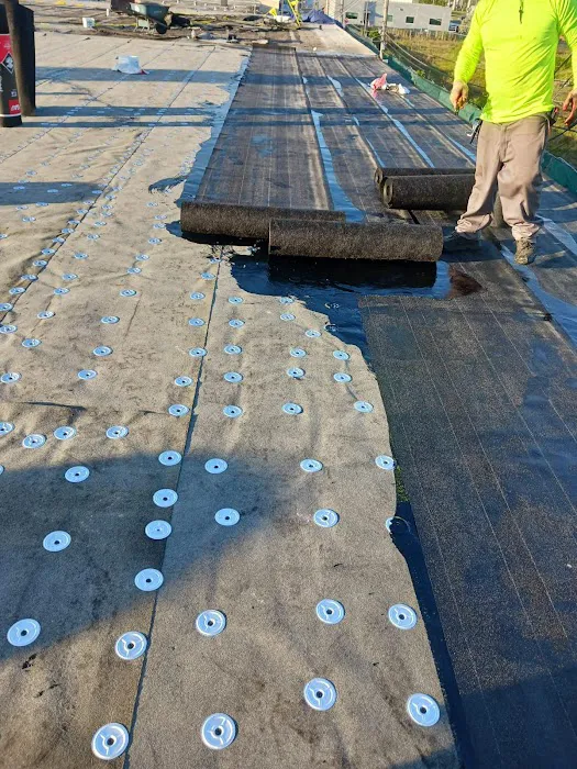 Borja's Roofing Inc Picture 8