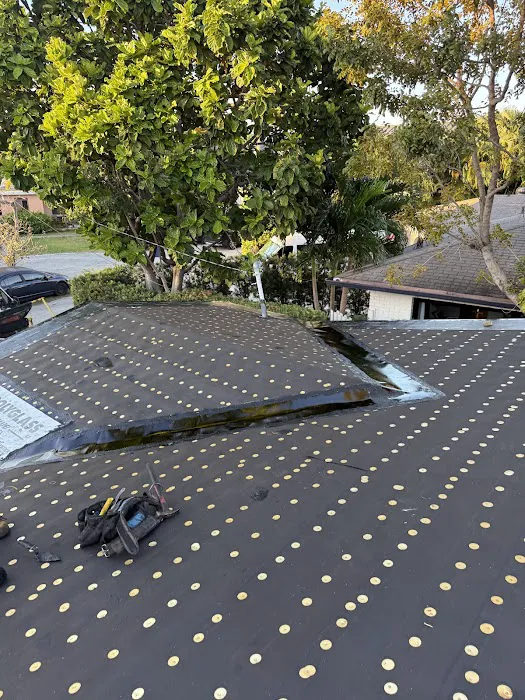 Dolphin Roofing Picture 4