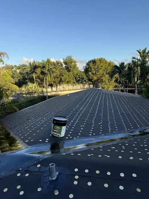 Dolphin Roofing Picture 5