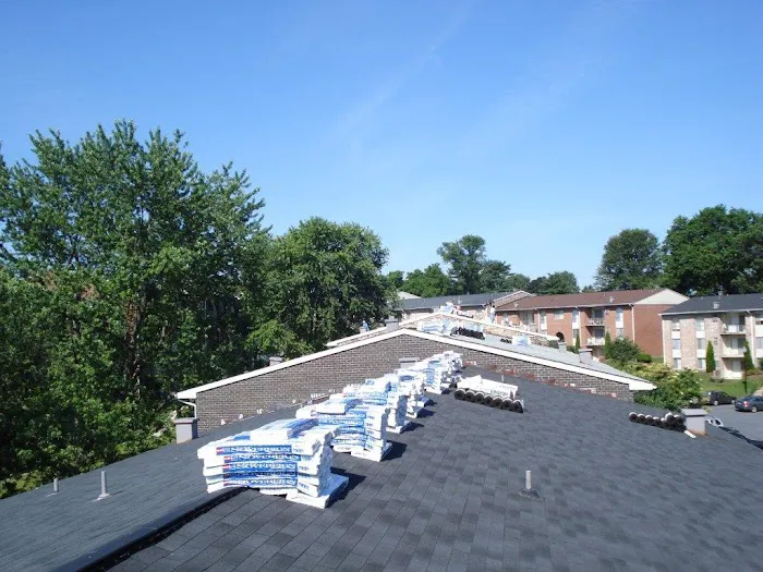 Dolphin Roofing Picture 8