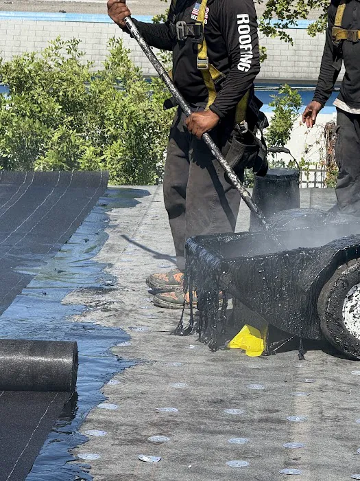 Dolphin Roofing Picture 2