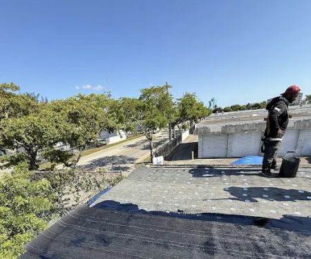 Dolphin Roofing