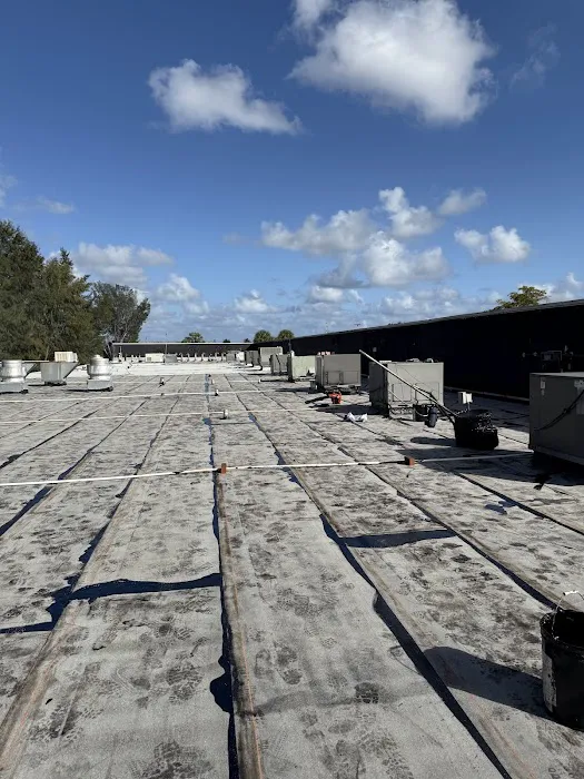 Dolphin Roofing Picture 9