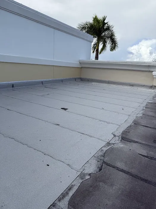 Dolphin Roofing Picture 10