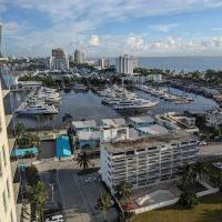 Decktight Roofing Services Inc ico