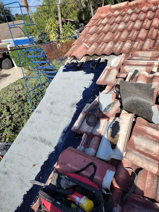 Restored Roofing Picture 1