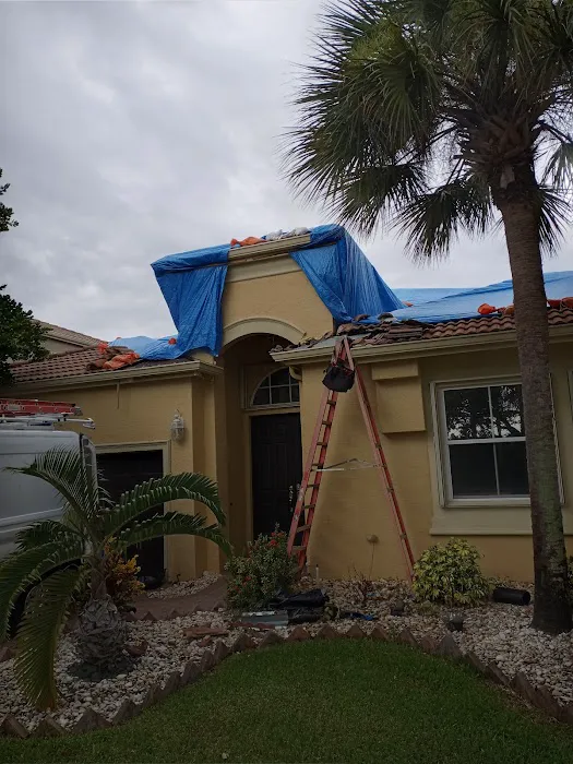 Restored Roofing Picture 4