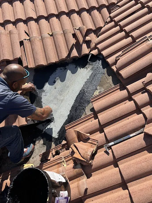 Shield Proof Roofing Picture 9