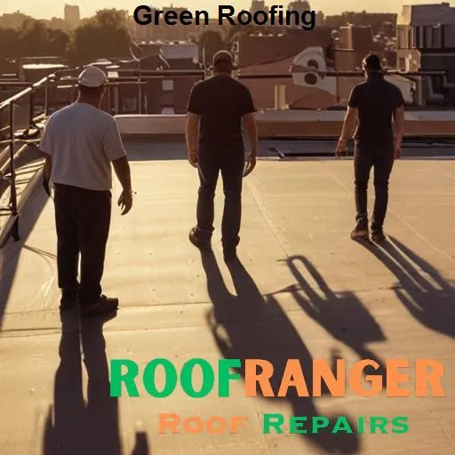 RoofRanger Roof Repairs North Lauderdale Picture 1