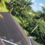 Friedel Development Group