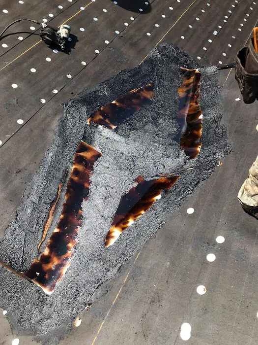 Friedel Development Group Picture 7