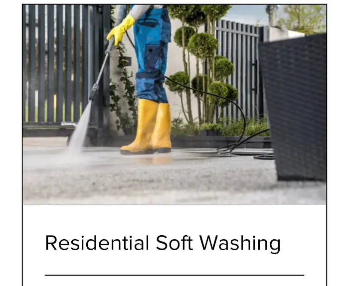 Trusted Cleaners Services Picture 2