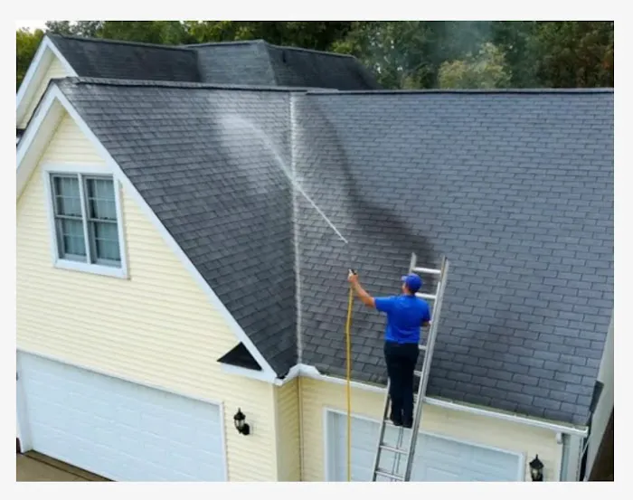 Trusted Cleaners Services Picture 7