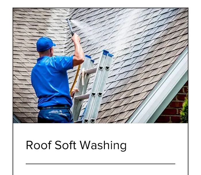 Trusted Cleaners Services Picture 8