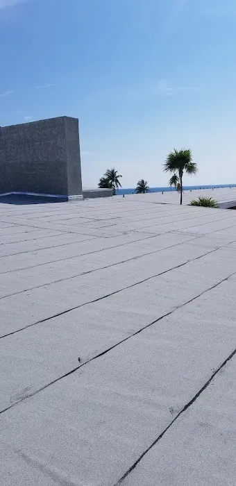 Florida Roofing Pros Picture 4