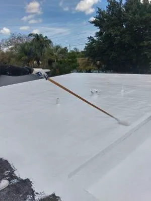 Cool Roof Foam and Coatings Picture 2