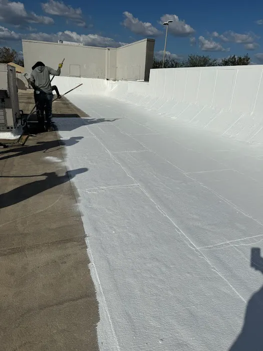Cool Roof Foam and Coatings Picture 1