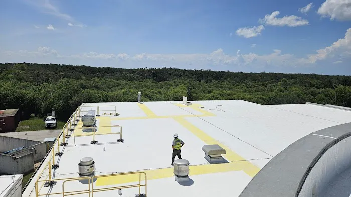 Cool Roof Foam and Coatings Picture 7