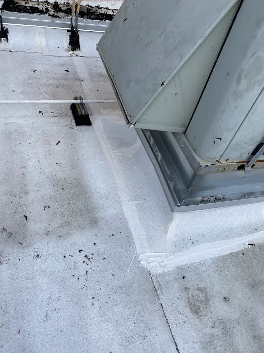 Fresh Home Roofing Picture 7