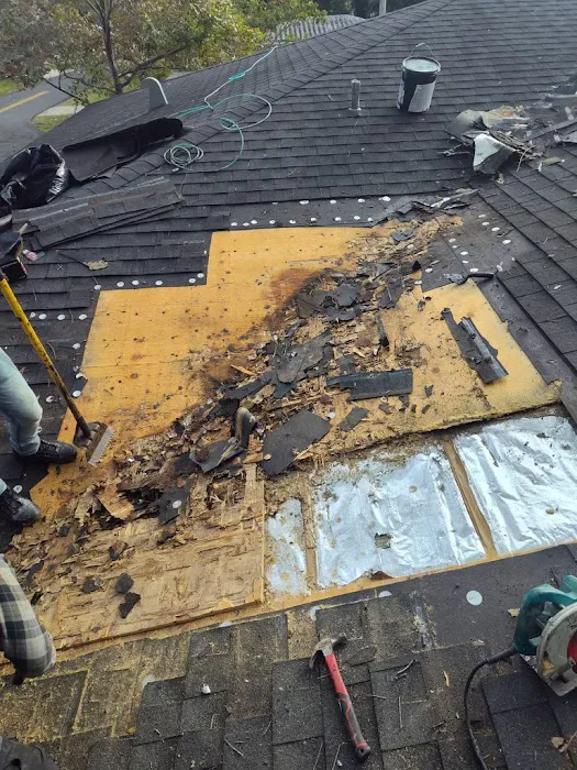 Reliant Roofing Systems Inc Picture 7