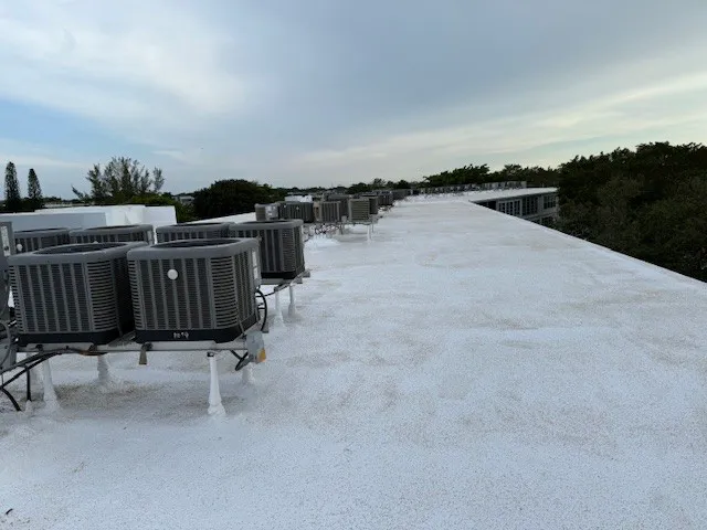 Polo International, Inc Picture 2