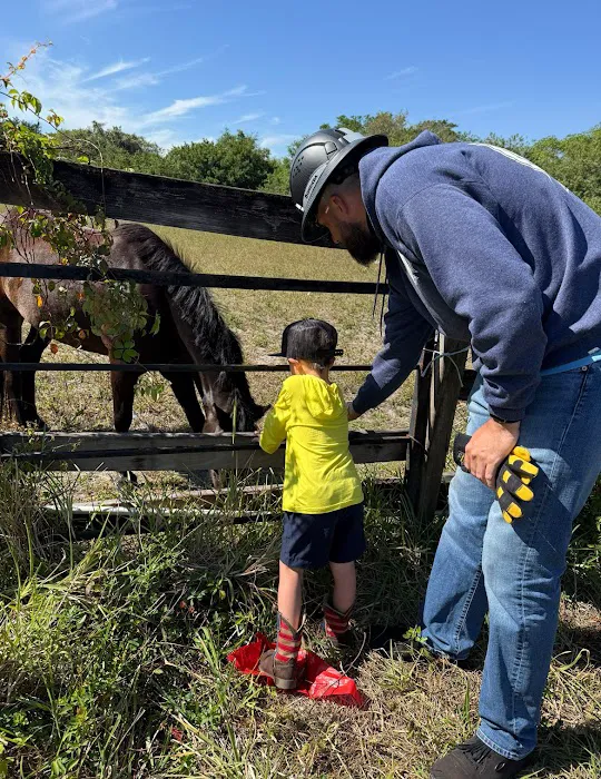 First Due Roofing Picture 10