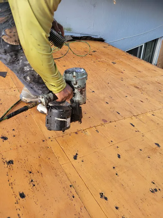 Windows Roofs Plus Picture 5