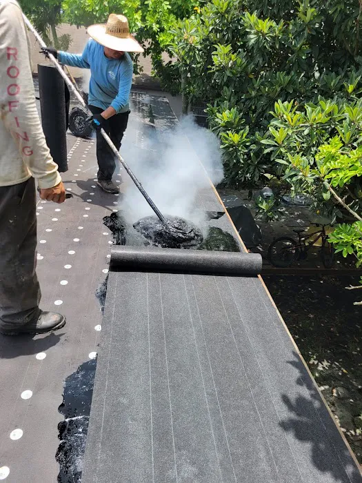 Windows Roofs Plus Picture 6