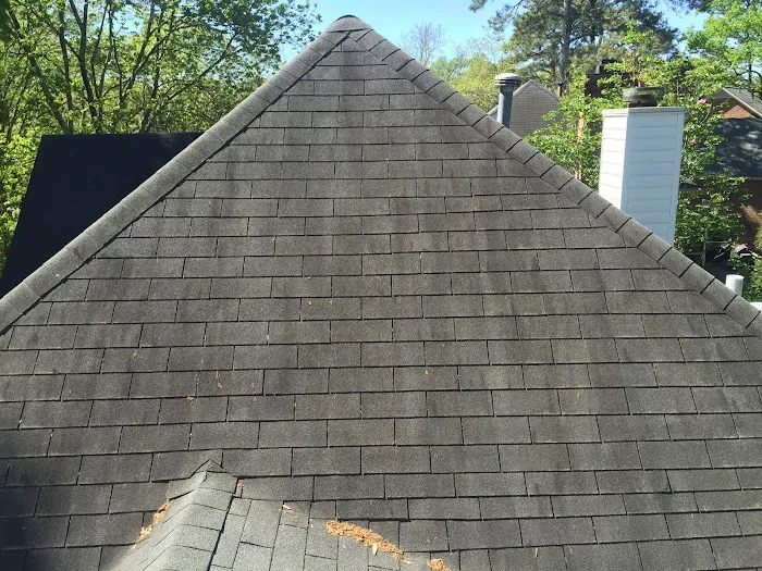 Pompanoroof Picture 5