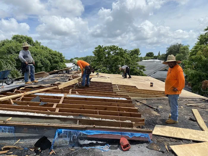 THE ROOF XPERTS Picture 5