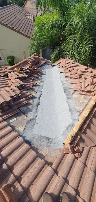 Roofing Company 123 Roofing Usa Picture 8