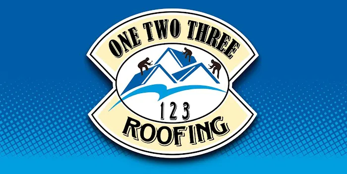 Roofing Company 123 Roofing Usa Picture 3