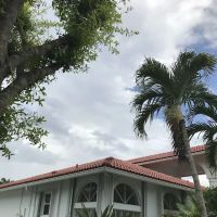 FL Pro Roofing & Solar ico