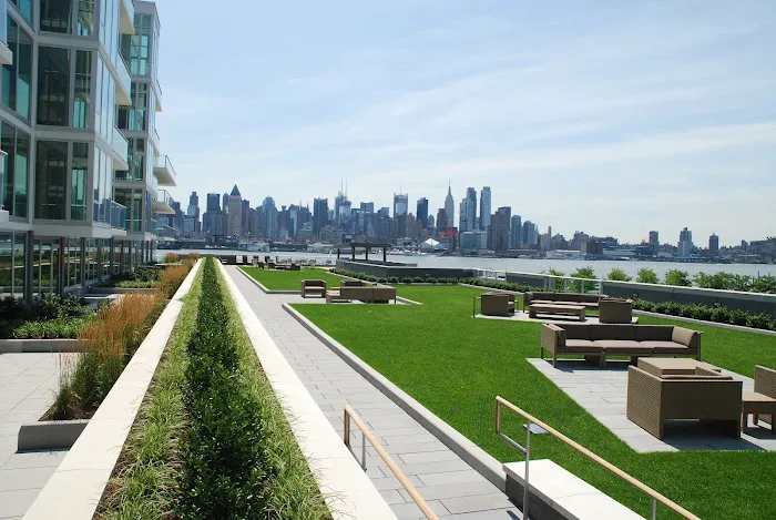 Nations Roof Picture 3