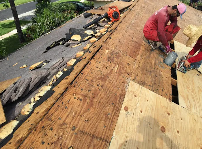 Arellanos JNP Picture 4