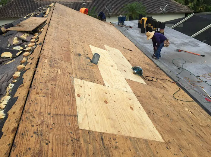 Arellanos JNP Picture 2