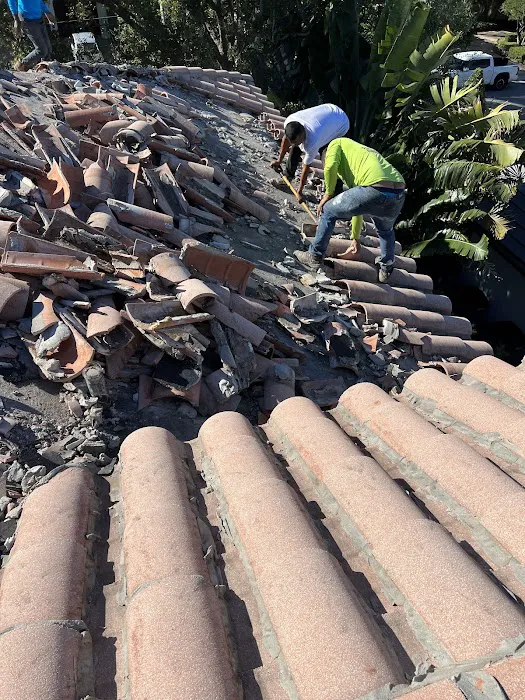 Silverline Roofing Experts Picture 9