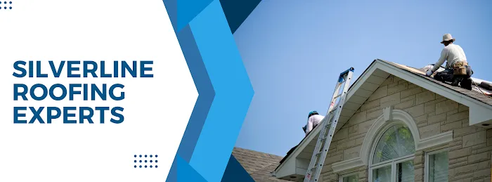 Silverline Roofing Experts Picture 10