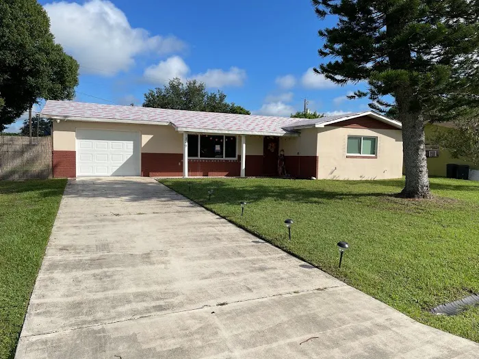 Lion King Roofing Picture 4