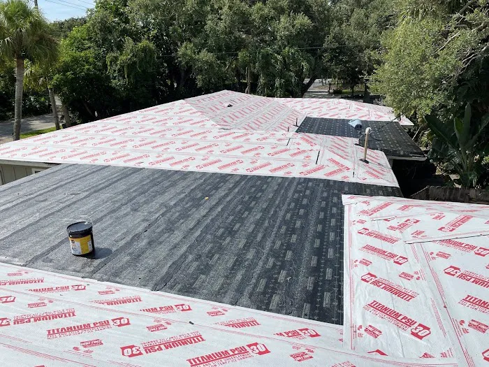 Lion King Roofing Picture 3