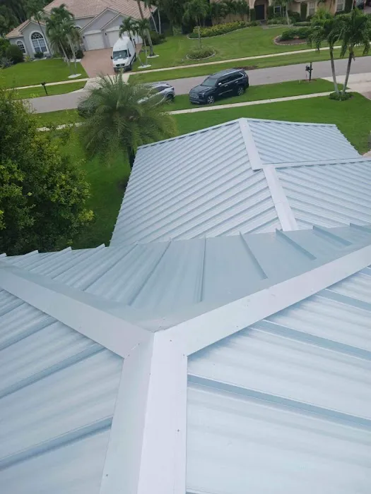 Lion King Roofing Picture 1