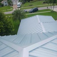 Lion King Roofing ico